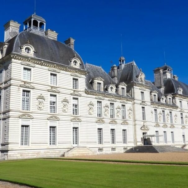 Château de cheverny - valleybioloire