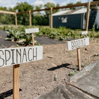 pexels-photo-9660868