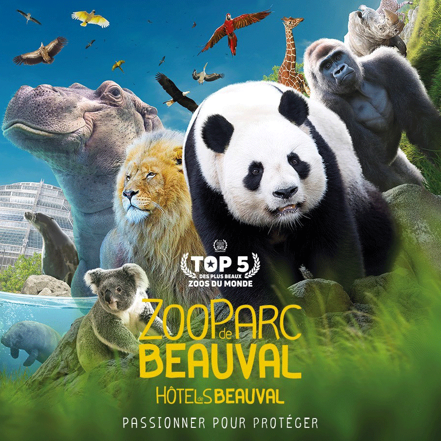 zoo-de-beauval.png